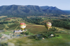 Balloons_over_lindemans_winery_-_hunter_valley__nsw_gallery